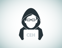 CyberQ Exam Prep: Certified Ethical Hacker (CEH)