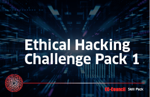 Ethical Hacking Challenge Pack 1